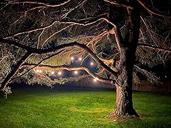 Magictec LED Shatterproof String Lights Commercial