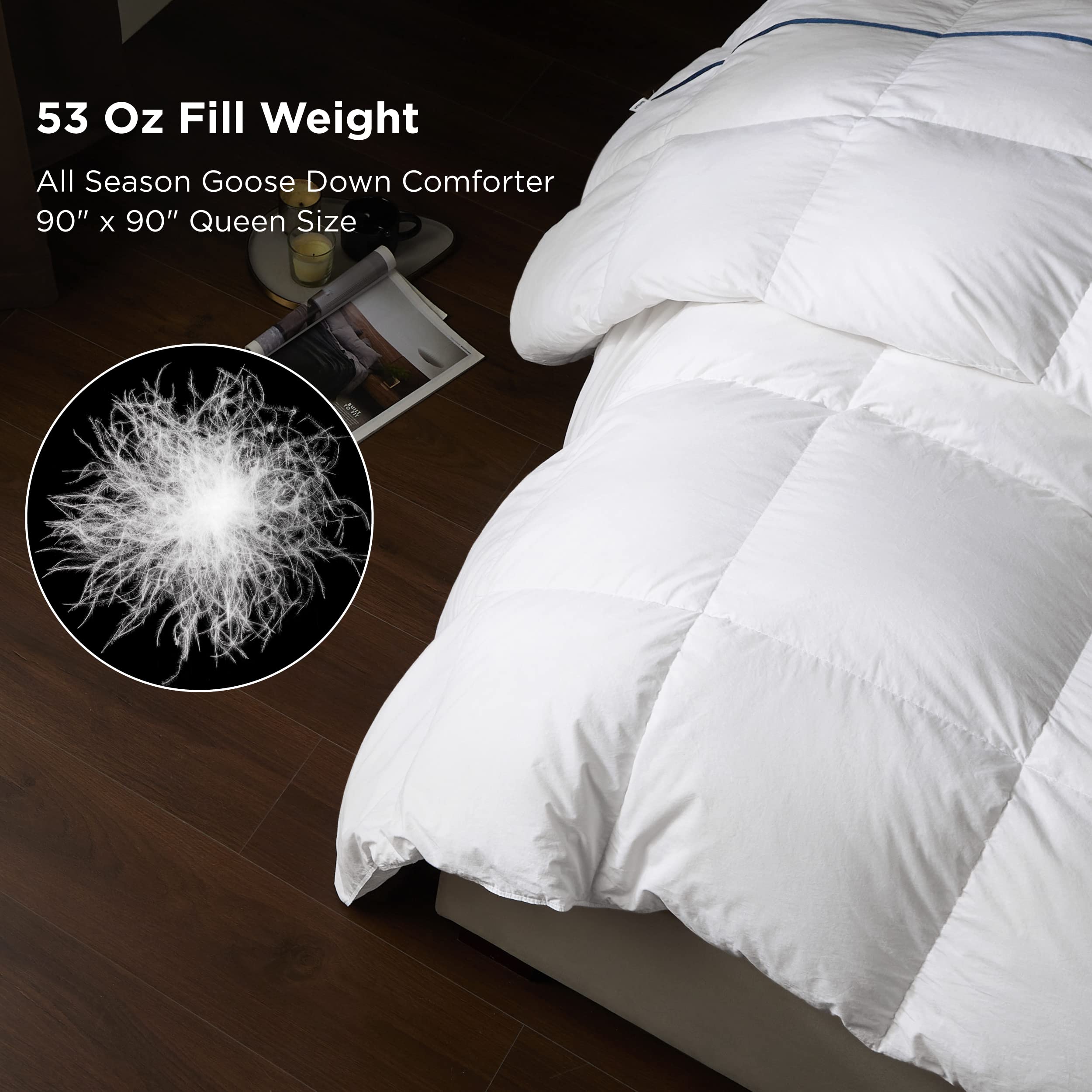 Bedsure Goose Down Comforter Queen Size Feather Down Comforter Queen