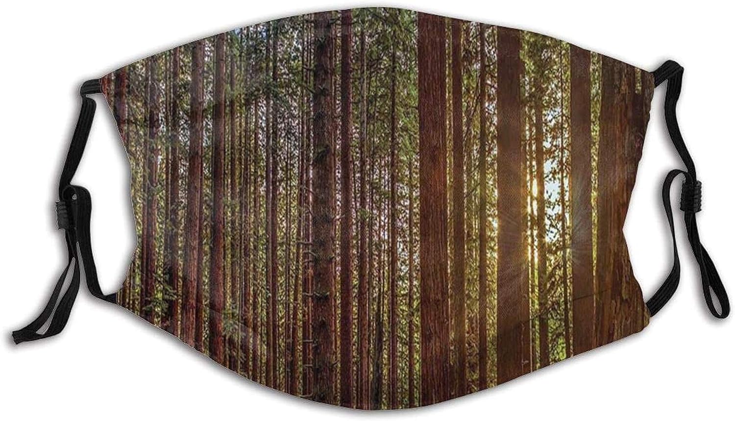 Cotton Face Mask Nature Redwood Forest In California With 2 Filters Personalized