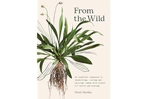 From the Wild: The essential companion to identifying, using and enjoying common wild plants for health and healing