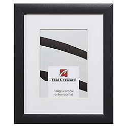 Craig Frames 1WB3BK 20 x 24 Inch Black Picture