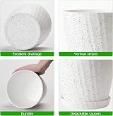 CSYY 6-Pack Plant Pots Indoor Outdoor Self Watering Tray view 3