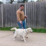 Halti Control Lead - Double Clip Dog Lead with 2 Handles Large 2m Black view 3