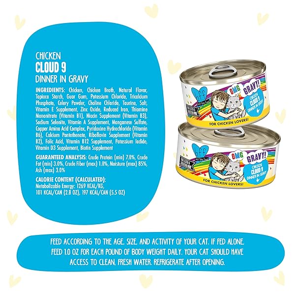 WERUVA B.F.F. OMG – BEST FELINE FRIEND OH MY GRAVY!, CHICKEN CLOUD 9 WITH CHICKEN IN GRAVY, 5.5OZ CAN (PACK OF 8)