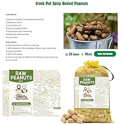 THE AMISH ECO-FARM | Fancy Size | Bulk Raw Peanuts
