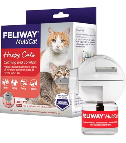 Amazon.com : FELIWAY Classic Cat Calming Diffuser Kit – Helps