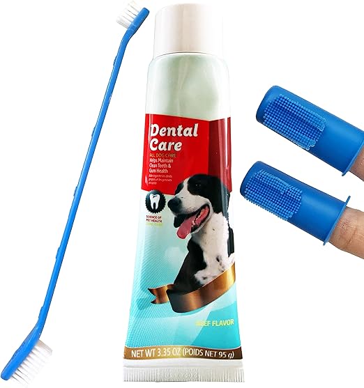 dog teeth cleaning kit amazon