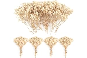 70PCS Mini Dried Baby's Breath Flowers 4000+Pressed Real Natural Gypsophila Bulk Natural Ivory White Dried Flowers for Hair A