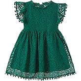 Niyage Toddler Girls Elegant Lace Pom Pom Flutter Sleeve Party Princess Dress