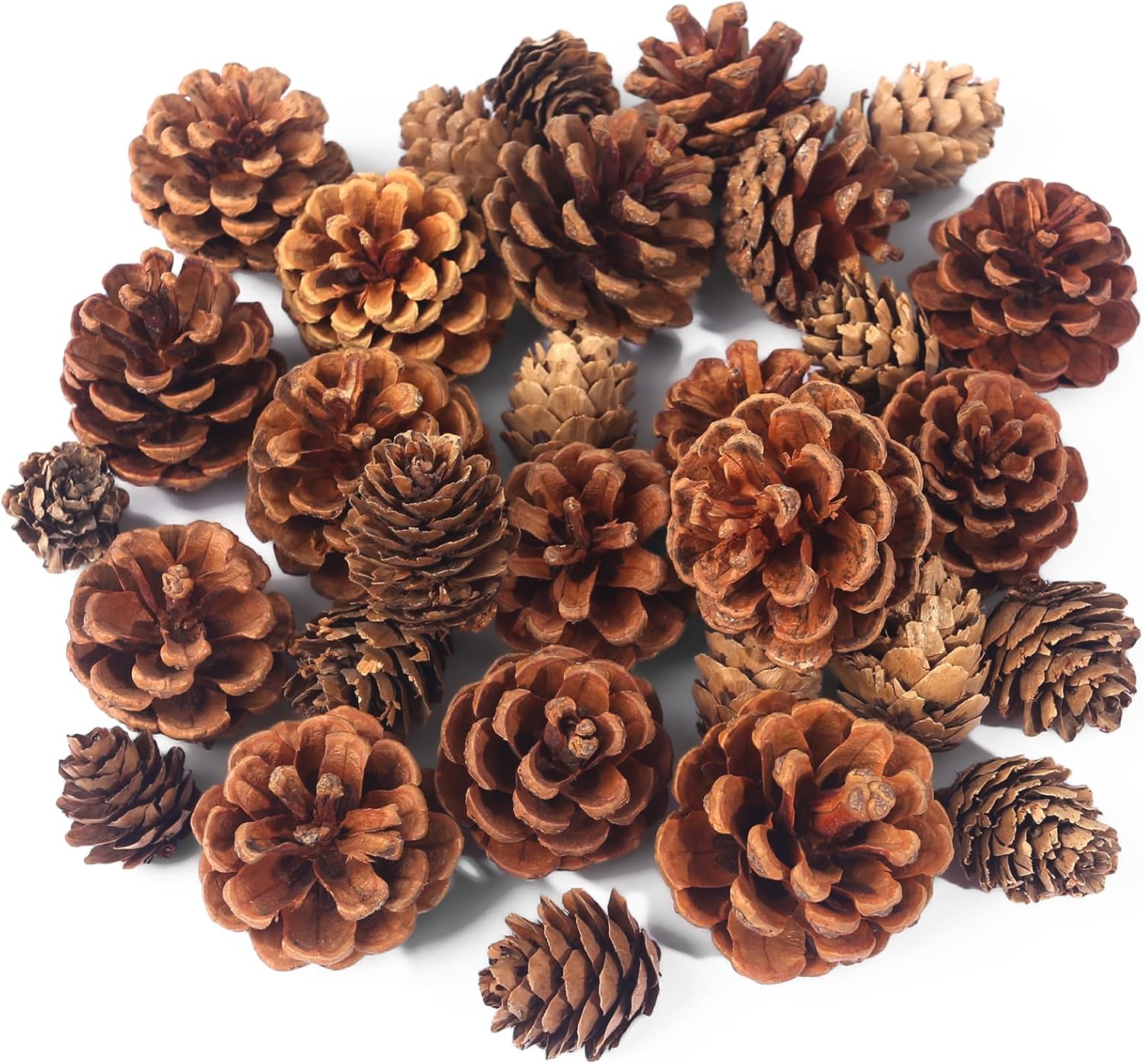 Vase Fillers - JOHOUSE 30PCS Christmas Pine Cones, Natural Pinecones for Crafts Assortment Rustic Pine Cones for Decorating Christmas Winter Holidays Table Bowl Fillers