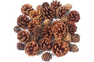 JOHOUSE 30PCS Christmas Pine Cones, Natural Pinecones for Crafts Assortment Rustic Pine Cones for Decorating Christmas Winter Holidays Table Bowl Fillers, Winter Vase Filler