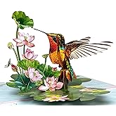 Pop Up Birthday Cards for Women, Hummingbird 3D Birthday Card, Beautiful Hummingbird and Lotus with Koi Fish Design, Pop Up Cards All Occasion for Mother, Mom, Her, Granmother and Daughter, Mothers Day Card