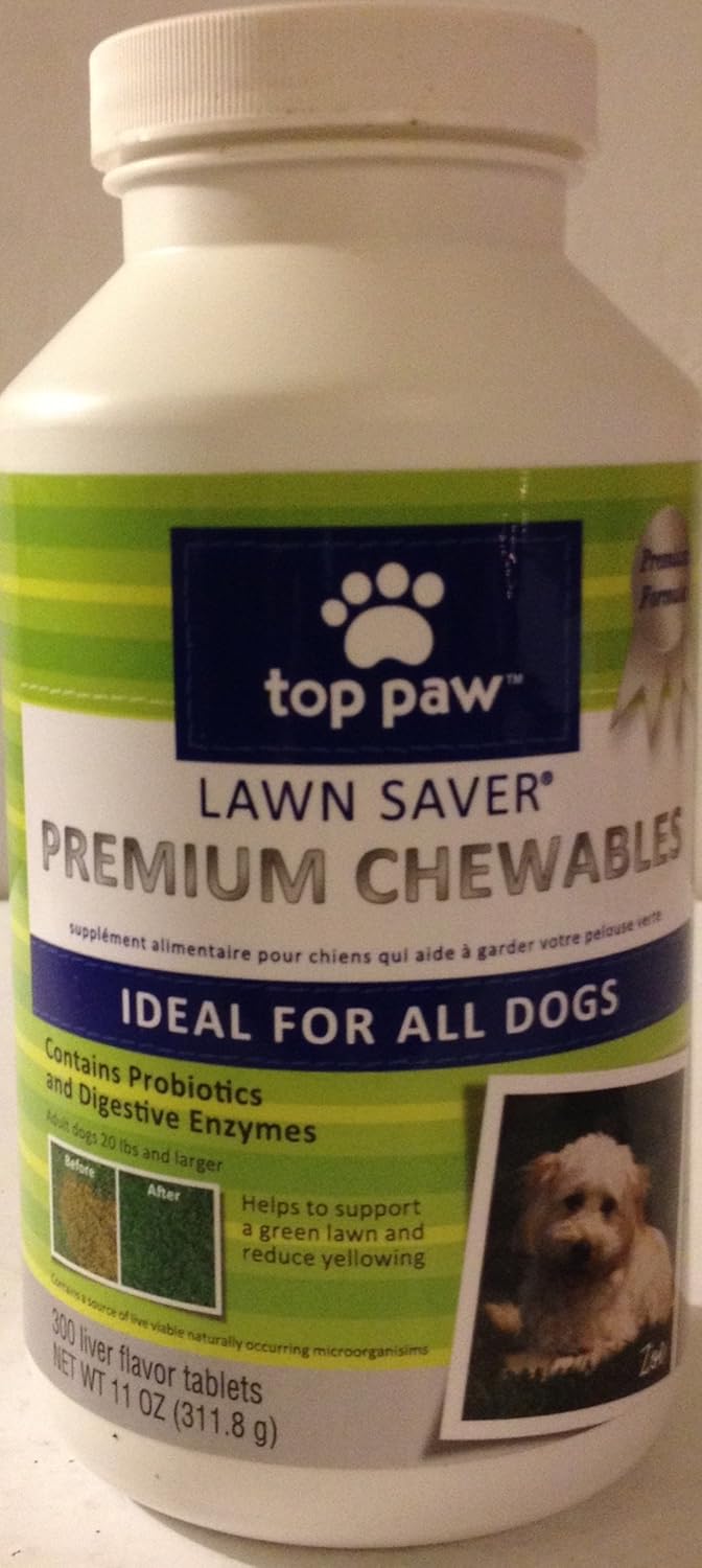 blue buffalo dog food senior large breed