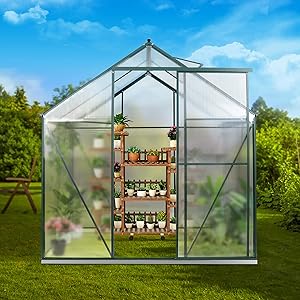 JULY'S SONG 6'x8' Greenhouse,Polycarbonate Walk-in Plant Greenhouse with Window for Winter,Garden Green House Kit for Backyard/Outdoor Use(8'x6')