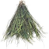 Strung Peacock Herl for Fly Tying or Tying Flies