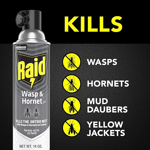 RAID WASP & HORNET KILLER SPRAY, BUG KILLER KILLS THE ENTIRE NEST, 14 OZ, 2 COUNT