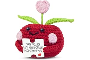 OASSIE Christmas Teacher Gifts for Women - Mini Positive Apple Crochet with Card - Appreciation Thank You Stocking Stuffers Birthday End of Year Gifts for Teacher, Graduation School Students Women