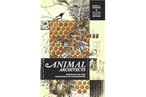 Animal Architects: Building and the Evolution of Intelligence