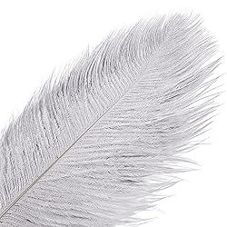 THARAHT Gray Ostrich Feathers 12pcs Large Natural