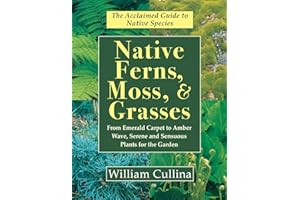 Native Ferns, Moss, and Grasses