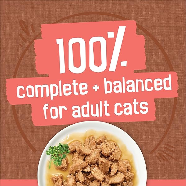 PURINA FRISKIES EXTRA GRAVY WET CAT FOOD CHUNKY 24CT VARIETY PACK (WITH CHICKEN, TURKEY, SALMON, BEEF) – (PACK OF 24) 5.5 OZ. CANS