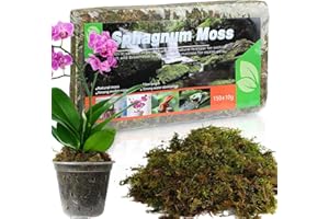 Doter Dried Forest Moss for Plants (5 qt / 1 Pack), Sphagnum Potting Moss for Various Plants, Including Orchids, Carnivorous Plants, Succulents, Garden Flowers, and Reptiles