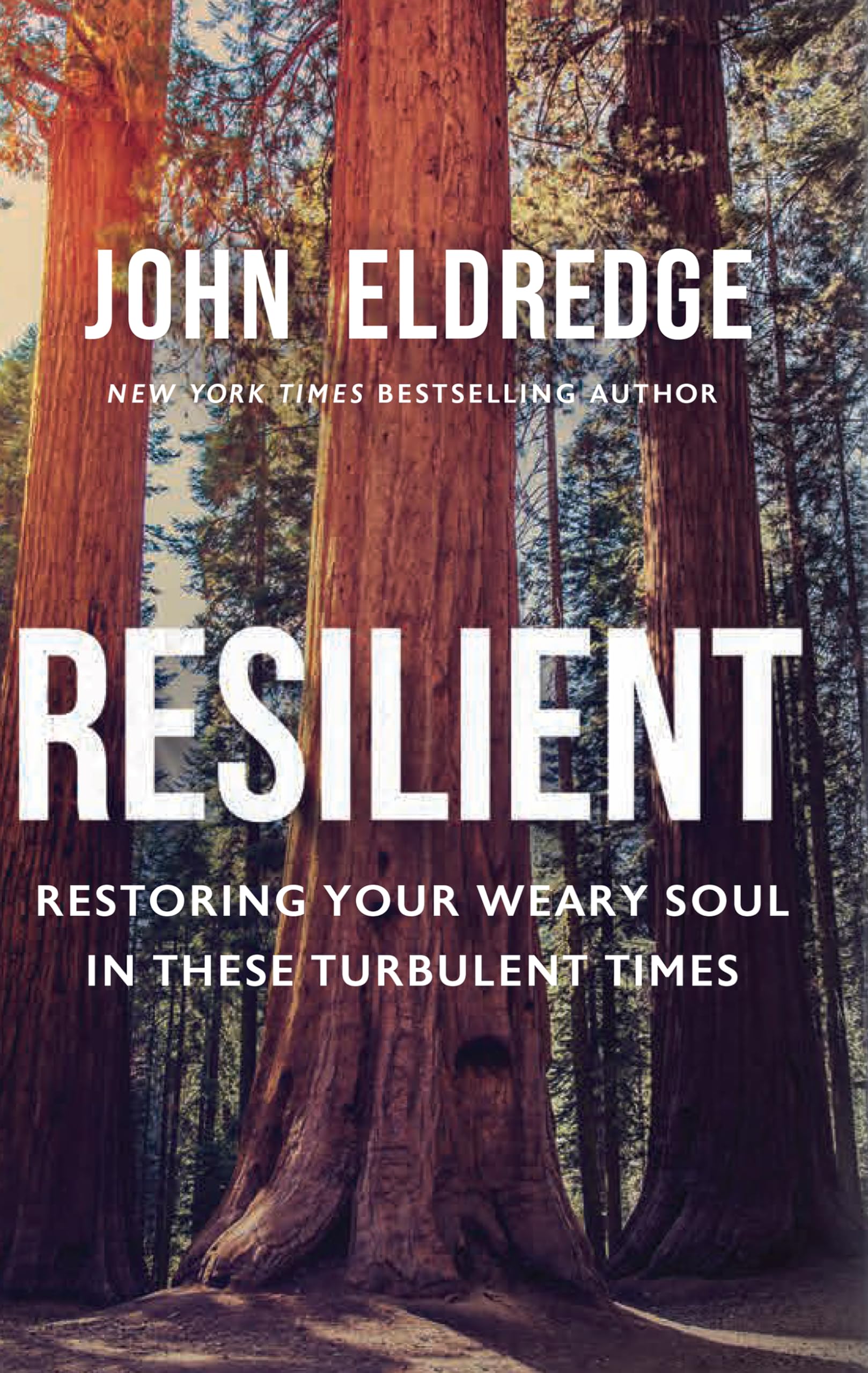 Resilient: Restoring Your Weary Soul in These Turbulent Times Image