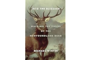 Into the Blizzard: Walking the Fields of the Newfoundland Dead