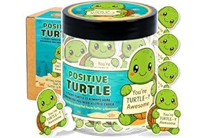DEARSHINE Emotional Support Turtle – Funny Turtle Gifts For Women, Kid - 60 Positive Turtle Daily Affirmation Cards Jar – Inspirational Gifts for Women - Self Care Gift for Coworkers, Teens, Friends, Boss