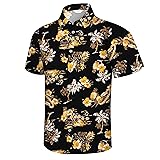 Mizvsitrd Hawaiian Shirt for Men, Beach Shirts for