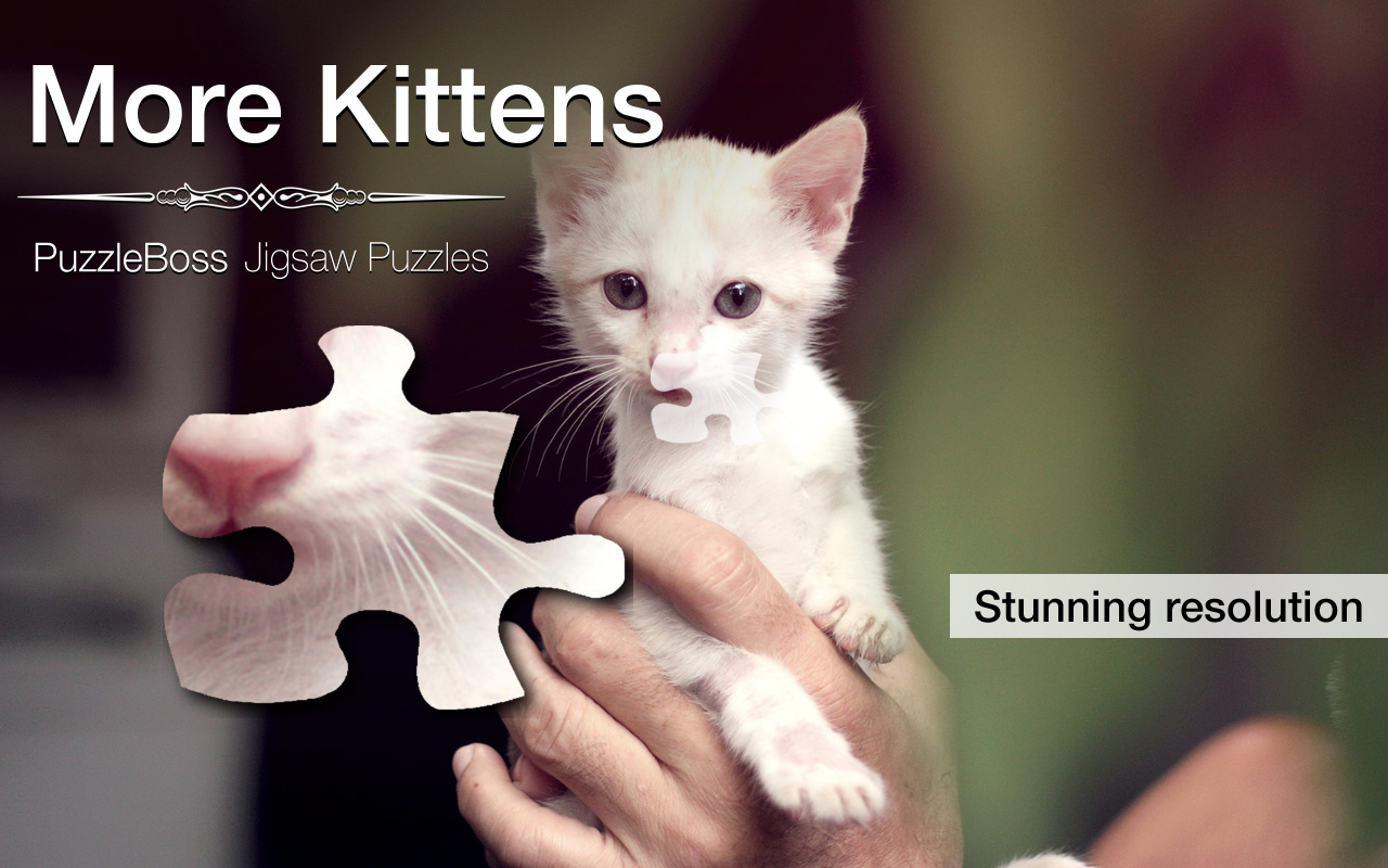 More Kitten Jigsaw Puzzles - Thumbnail 2