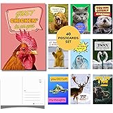 Imperial Designs 40 Pack Funny Punny POSTCARDS (4"x6") - Say I Miss You, Hello, Thank You, Thinking of You with a Fun Animal Pun by Mail - Bulk Postcards for Parents, Grandparents, Summer Camp