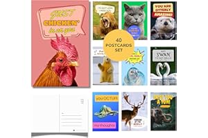 Imperial Designs 40 Pack Funny Punny POSTCARDS (4"x6") - Say I Miss You, Hello, Thank You, Thinking of You with a Fun Animal Pun by Mail - Bulk Postcards for Kids, Parents, Grandparents, Summer Camp