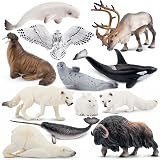 toymany 12PCS Polar Animals Figurines Arctic Toy Set 4-19cm Kids