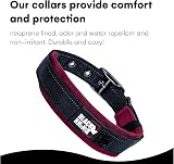 Black Rhino The Comfort Collar Ultra Soft Neoprene Padded Dog Collar XL Burgundy view 5
