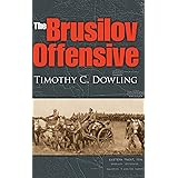 The Brusilov Offensive (Twentieth-Century Battles)