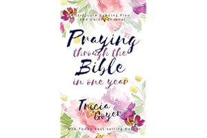 Praying Through the Bible in One Year