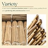 BPIL Bamboo Plant Canes 2ft-10ft Heavy Duty Garden Stake 14-16mm view 7