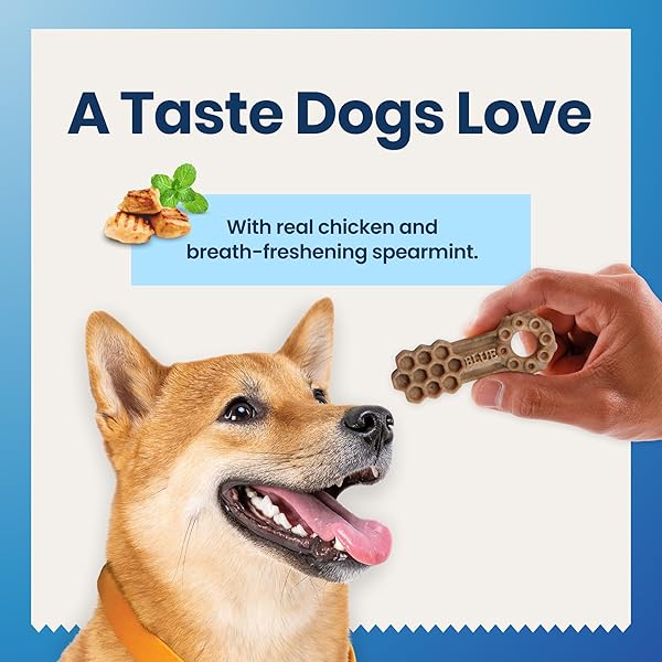 BLUE BUFFALO MEDIUM DENTAL CHEWS FOR DOGS, DAILY DENTAL CARE DOG TREATS MADE IN THE USA WITH NATURAL INGREDIENTS, CHICKEN & SPEARMINT (14 COUNT)