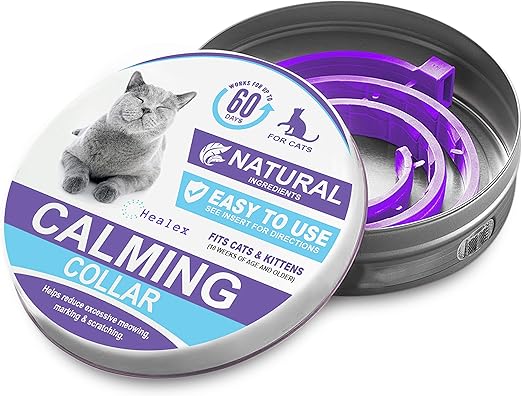 how long is a cat pregnant before she has kittens