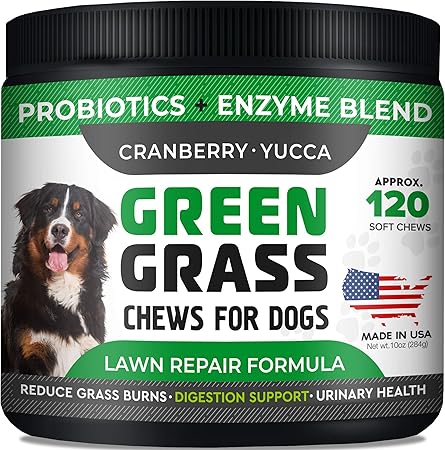 dog urine lawn neutralizer