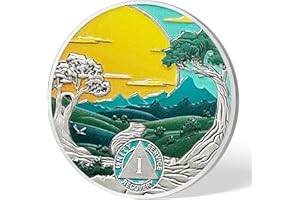 Imasoner 1 Year Sobriety Coin - Forest Landscape AA/NA/HA Medallion with Serenity Prayer | Recovery Anniversary Year Gift for Men & Women | Alcoholics/Narcotics Anonymous Chip