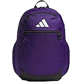 Striker Team Sports Backpack for soccer and more, workout bag for men and women