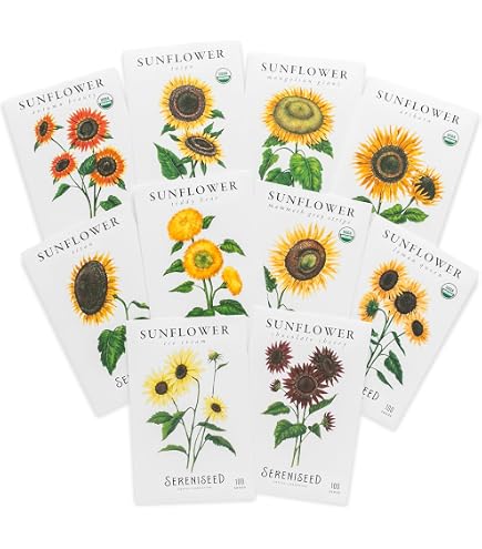 Amazon.com: Shafer seed BCGEN50 Sunflower Seed 100% Oil - 50 lbs : Patio,  Lawn & Garden