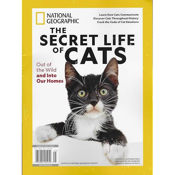 National Geographic Secret Life of Cats: The Editors of National