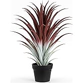SUNPRAIRIE Hyper Realistic Big Red Artificial Aloe Vera Plant 26 Inches Tall. Large Faux Agave in Matte Black Pot.