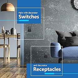 LIDER Brushed Finish Decorator Switch