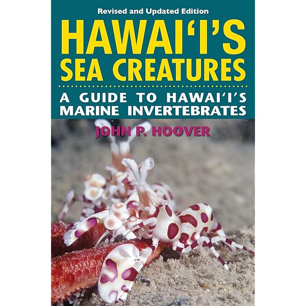 Amazon.com: Cold-Water Corals: The Biology and Geology of Deep-Sea