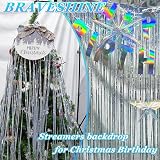 Silver Foil Curtain Backdrop 2 Pack 1x2.5m Tinsel Fringe Decor view 10