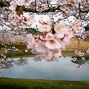 カスタマー画像